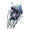 Meduse