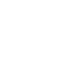 roll model
