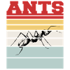 ANTS