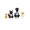 Zukünftiger Tierarzt
