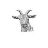 Goat