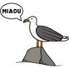 Dessin mouette miaou humour