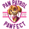 Paw Patrol Skye Pawfect