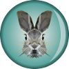 Rabbit head