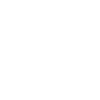 Custom Modification