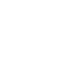 Fleischer