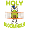 Volleyball Avocat