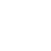 Princess crown