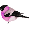 Bird, drawing, painting, tit,wings,pink