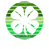 St Patrick's Day Shirt