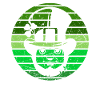 St Patrick's Day Shirt