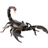 Skorpion