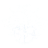 Ocean life explorer
