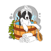 BORDER COLLIE Sauna Wellness