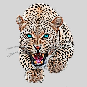 Leopard