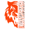 Cincinnati Football – Tiger Power Design