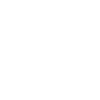 Data Analyst