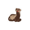 cute ferret heartbeat pulse