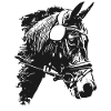 Pferd