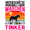 Irish Tinker Pferd Mädchen Tinkerpferd