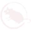 gefährliche Ratte - Nagetier