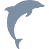dolphin logo