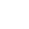 Zodiac Sign Gemini