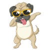 dabbing pug