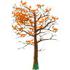 Fuchs Baum