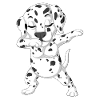 Dabbing Dalmatian