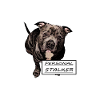 American Bully XL blue line artistic design