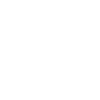 Agent de sécurité publique