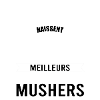 Les meilleurs sont mushers