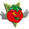 mr tomato