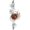 Schnecke