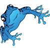 Blauer Frosch