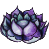 Purple Lotus Blossom
