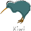 Kiwi 1