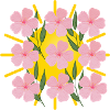 Fleurs au soleil