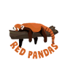Red Panda Panda Bear