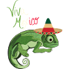 Viva Mexico Sombrero