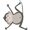 monkey funny