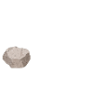 Geology Rock Always Win