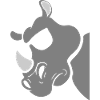 Nashorn