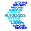 Autocross