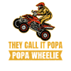 Quad Atv Motorsport