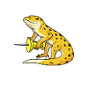 Gecko Memes