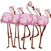 Flamants roses