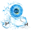 AQUA
