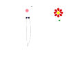 Fleur, amoureux